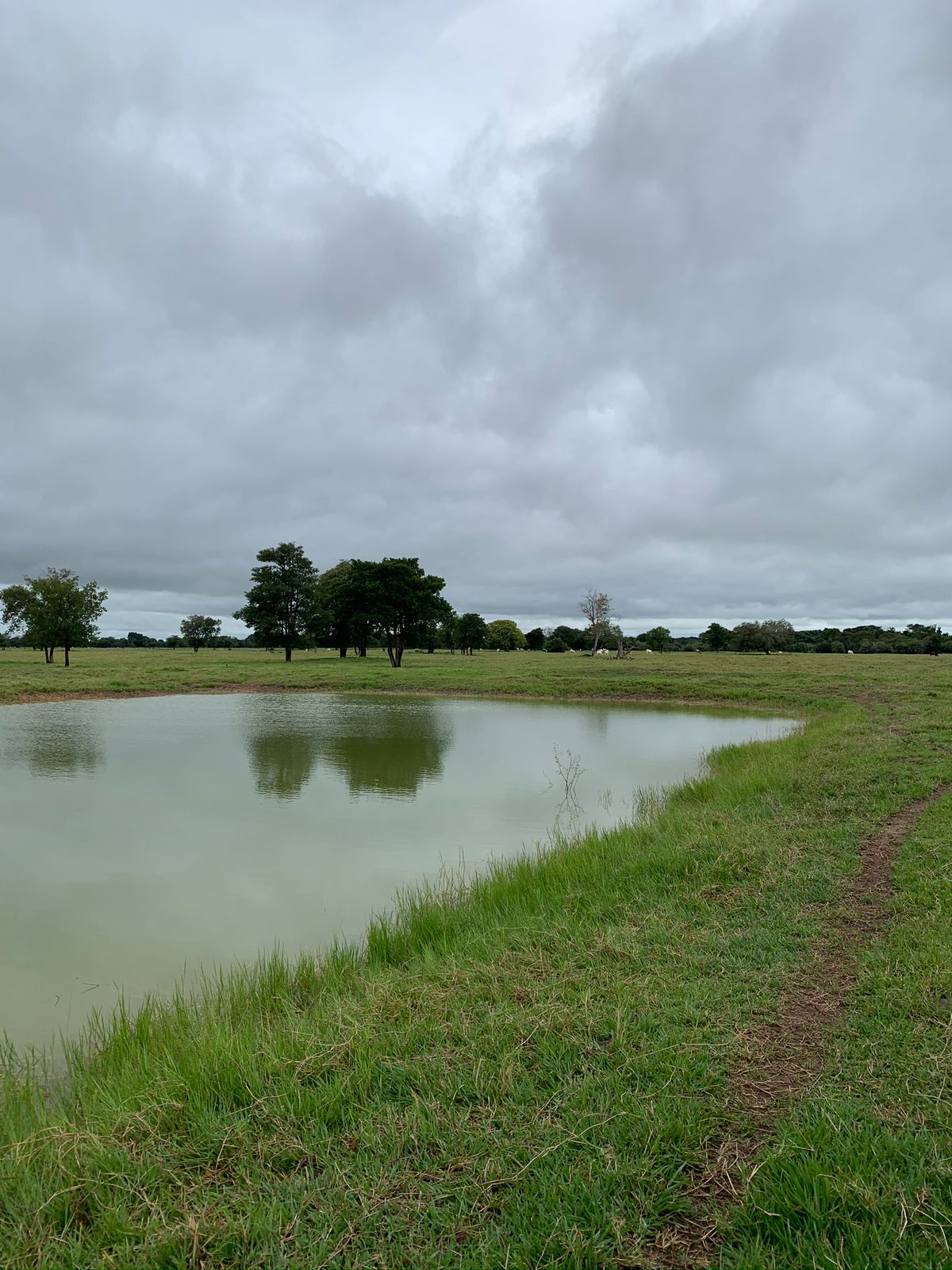 Foto de Aurélio Zago 2